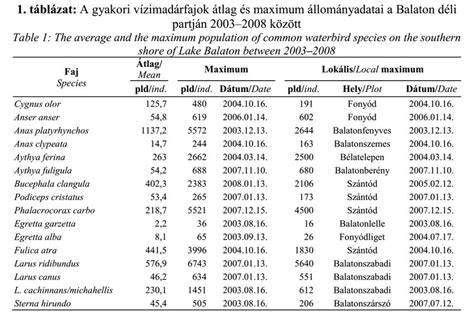 Táblázat: gyakori argánolajos hajtermékek jellemzői