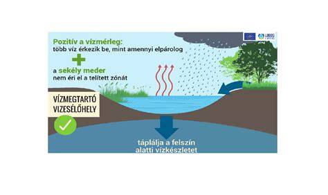 Infografika: kemény víz hatása a hajra és a megoldások