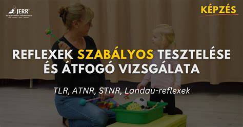 tetű vizsgálata és felismerése