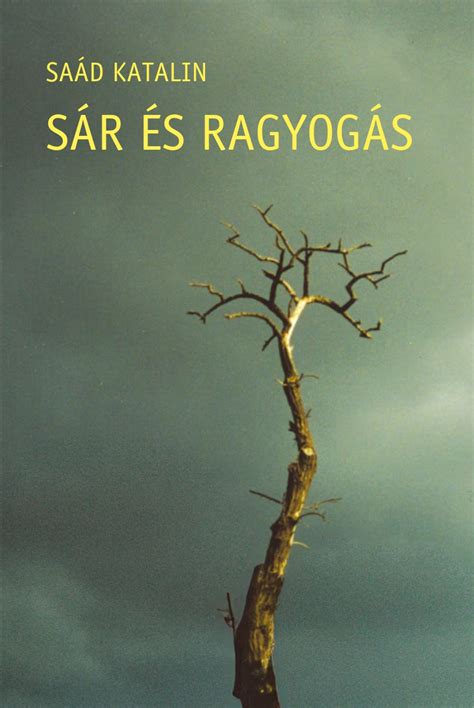 fedés és ragyogás grafika