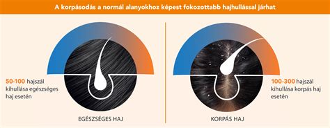 Haj textúrák összehasonlítása