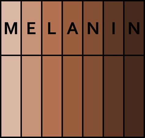 Melanin pigmentek a hajban