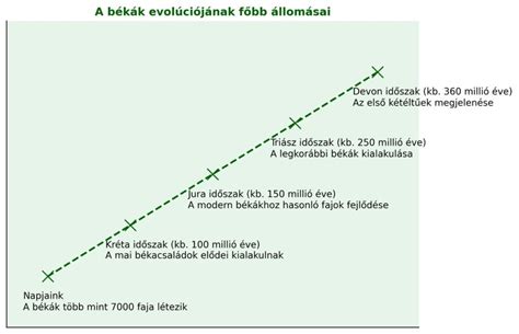 Evolúciós térkép a hajszínek elterjedéséről