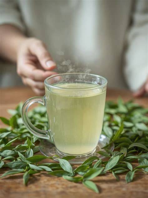 Illusztráció: zöld tea és hajápolás infografika