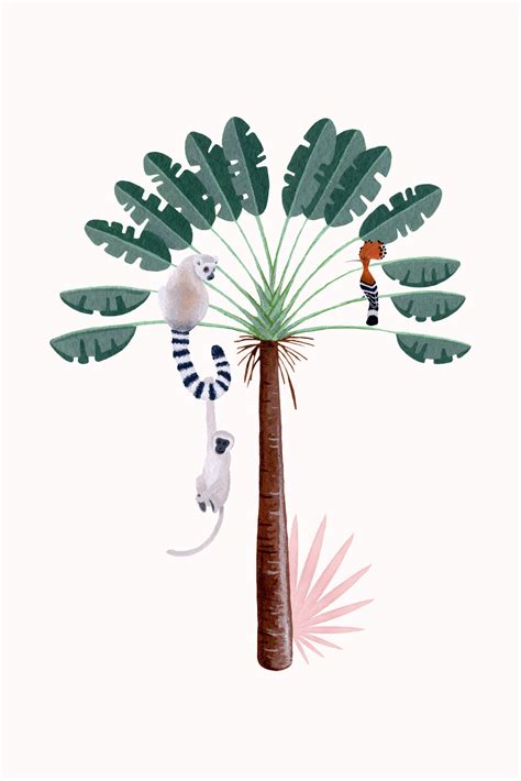 Illusztráció különböző szempillatípusokról