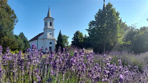 Balatonakali kikötője