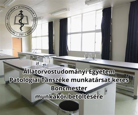 Gyakorlati oktatás menetrendje és eszközök