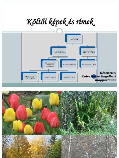 Képek a termékcsaládról és összetevőkről