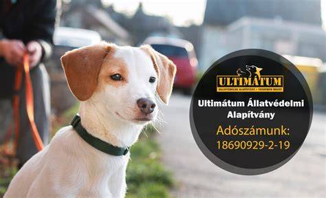 Környezeti és állatvédelmi minősítések táblázata