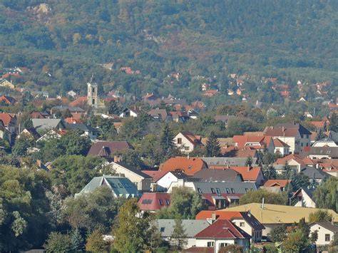 Infografika: Solymár fodrászai és szolgáltatásaik elérhetőségei