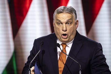 arcszőrzet és közösségi reakciók