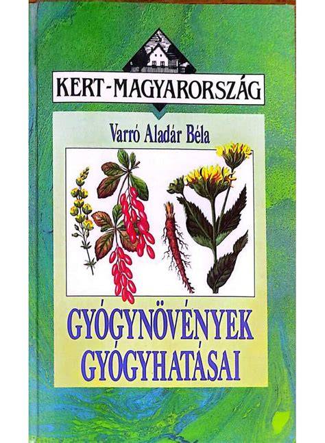 Gyógynövények és fejbőrmaszkok áttekintése
