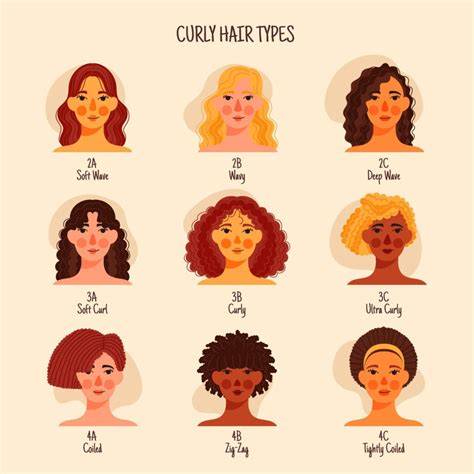 Ábrázoló infografika a hullámos, göndör és afro haj típusokról