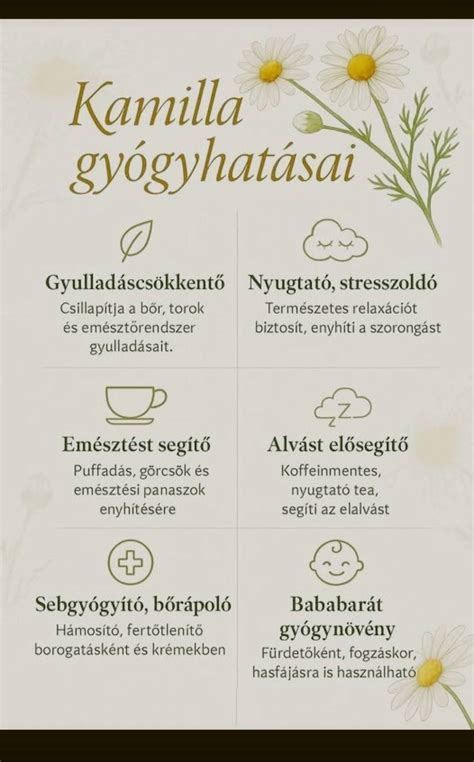 Kamilla mint természetes nyugtató a fejbőrre