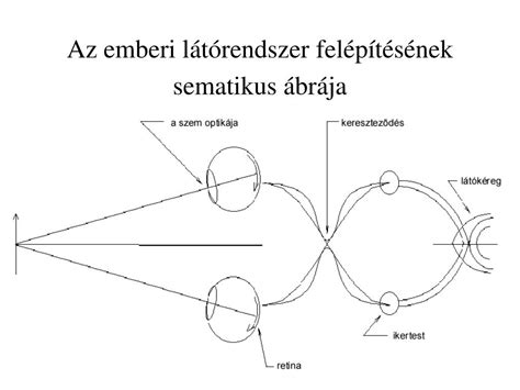 A hormonális spirál működésének sematikus ábrája