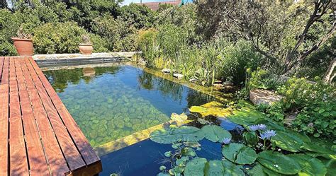 Burgenlandi fürdőtó