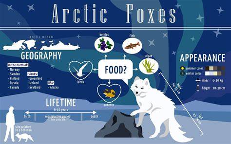 Arctic Fox színek élénksége infographic