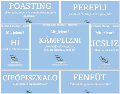 Magyar tájszavak gyűjteménye