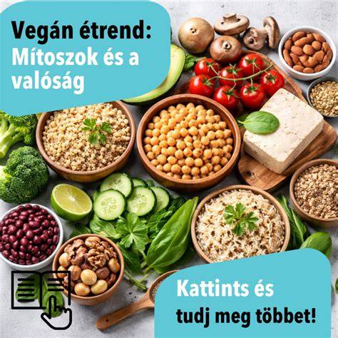 Vegán szőkítés és Karbon9 rendszere infographic