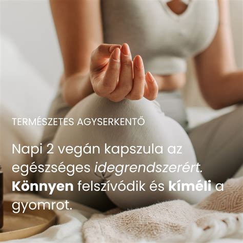 Illusztráció a fejbőr egészségét támogató összetevőkről és összetevő-érzékelésről
