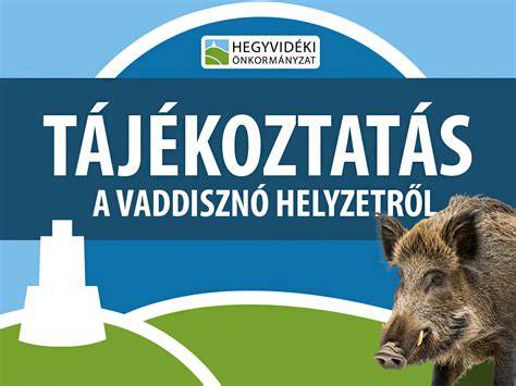 Infografika: II. kerület fodrászati kínálata és elhelyezkedése