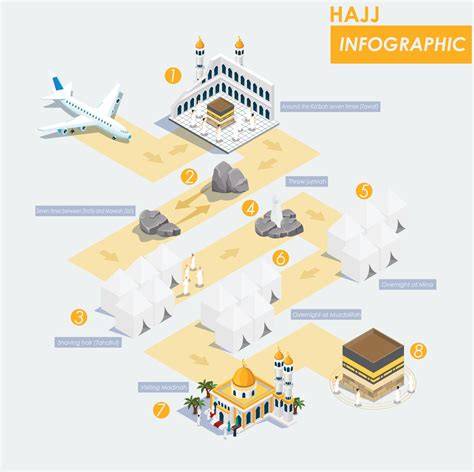 haj pigmentálás infographic