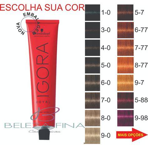 https://example.com/igora-royal-infografika.jpg