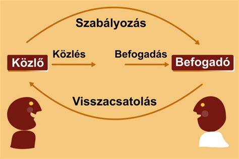 Infografika a jó fodrász kiválasztásának szempontjairól: kommunikáció, visszajelzések, minőség