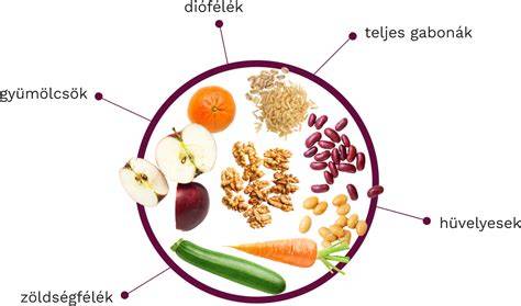 diagram a rostok szerepéről a bélszövetben