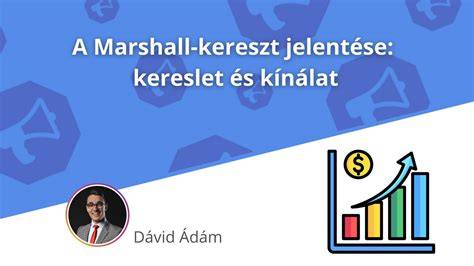 Kínálat és példaképek a fodrászatban