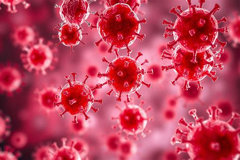 Az immunrendszer reakciója szepszis esetén