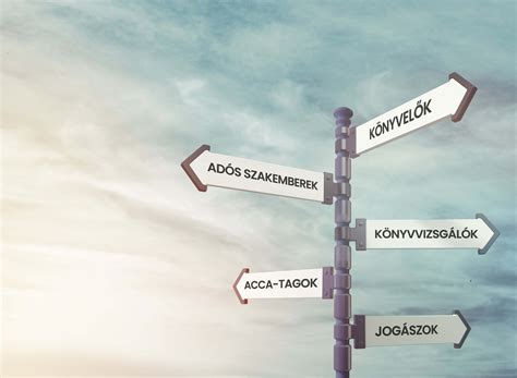 Színvédőolajok és mikrofényt adó összetevők vizuális ábrázolása
