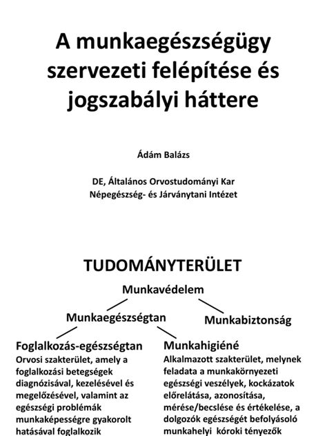Diagramm: Talipont szervezeti felépítése és döntéshozatali folyamata