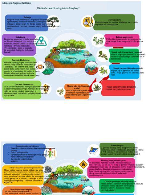 Infografika: Corvin-Szigony projekt hatása a környékre