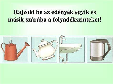 Infografika: Közlekedőedények és hajszálcsövek elrendezése