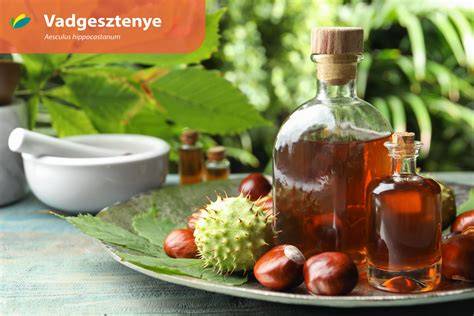 Infografika: Vadgesztenye alapú sampon elkészítésének lépései