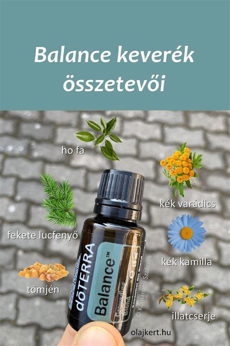 Gyakori hordozóolajok összetevői