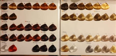 Alfaparf hajfesték paletta