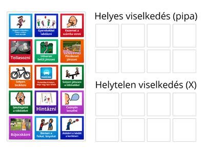 Helytelen és helyes hajápolási módszerek