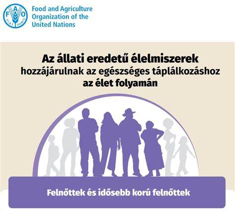 Infografika: Tejsav és ceramidok szerepe a haj újjáépítésében