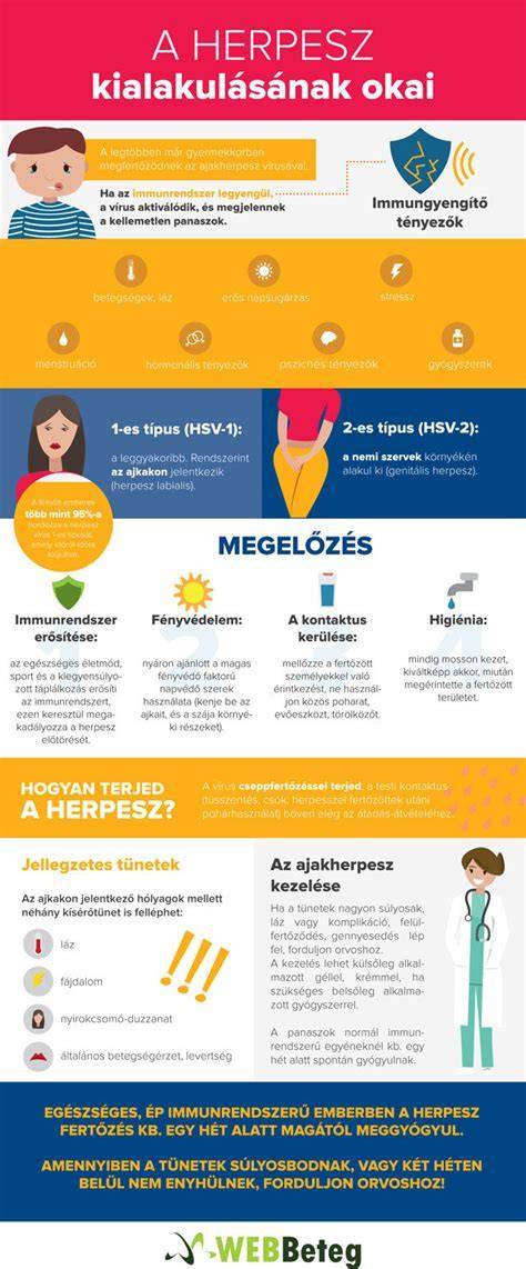 Infografika: A hólyaghurut okai és a fertőzés útvonala