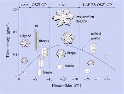 Diagram: Lefolyásos útmutató hólyaghurut esetén