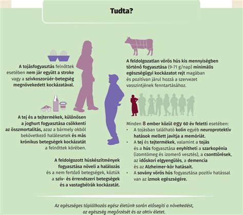 Infografika az állati szőrszál allergia okairól és tüneteiről