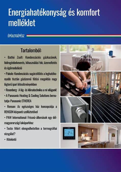Infografika: Philips BHD006/00 - fő jellemzők és energiahatékonyság