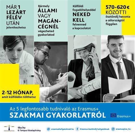 Infografika a szakmai mentorálásról és karrierút lépéseiről