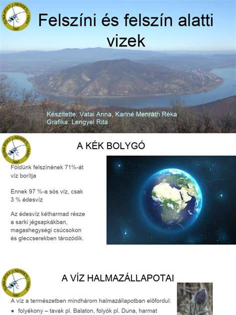 Vakondok járatrízek és felszín alatti világ szemléltetése