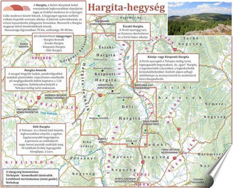 Átfogó fejbőr térkép és a hajhüvelyek elhelyezkedése