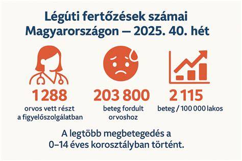 illusztráció a felső és alsó légúti rendszerről