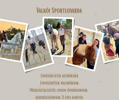Ló- és lovas biztonságos kapcsolódása ábrázoló infographic