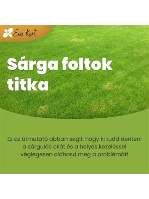 Sárga foltok a szakáll körül következtében fellépő bőrprobléma vizuális ábra